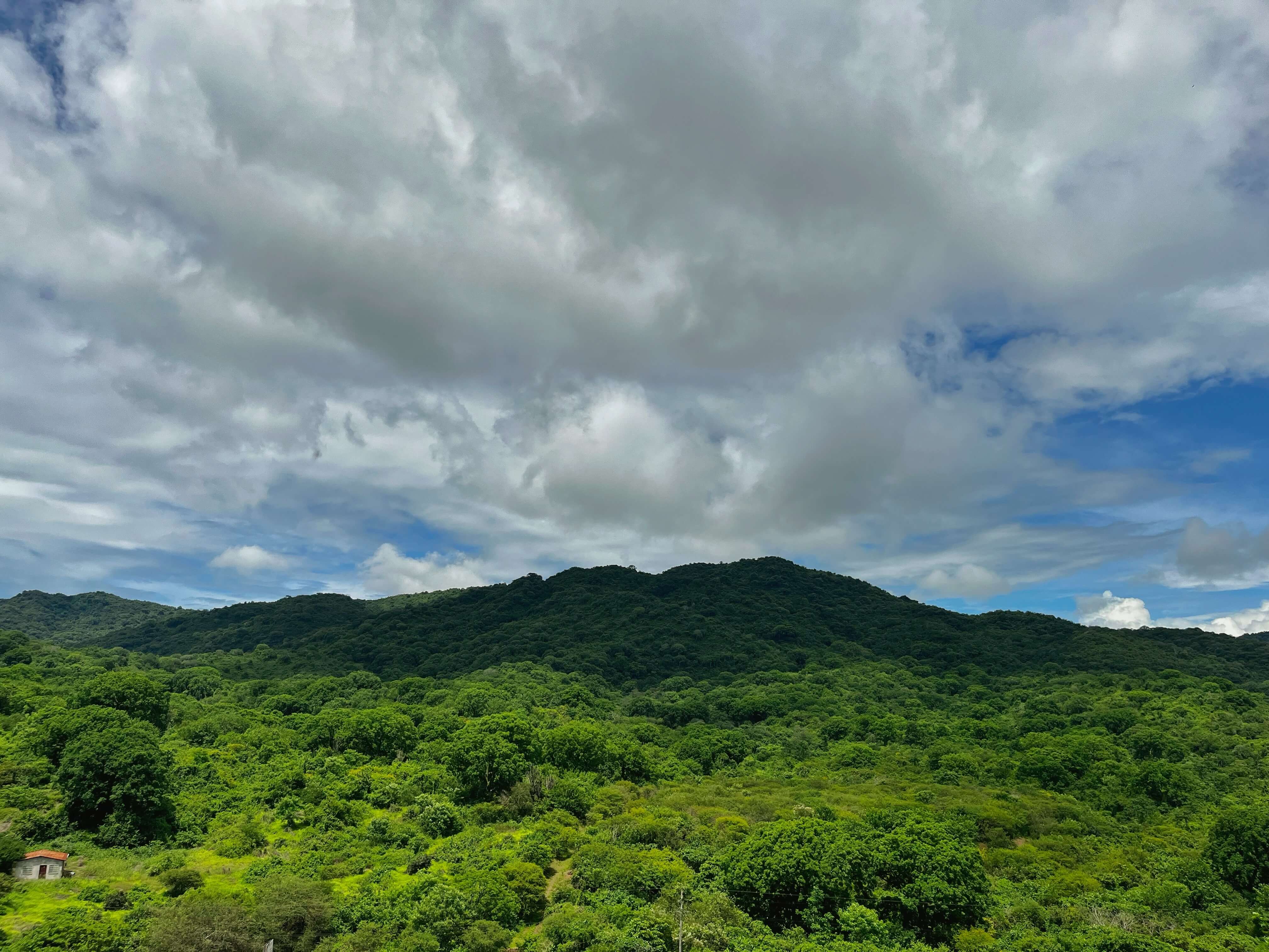 Původ oleje – Ekvádor